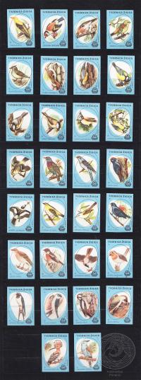 Filumenija - Šumske ptice 1-30